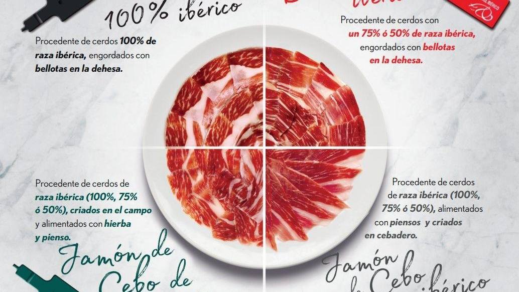 Las Etiquetas Del Jamón Ibérico Cortegana Ibérico 9391